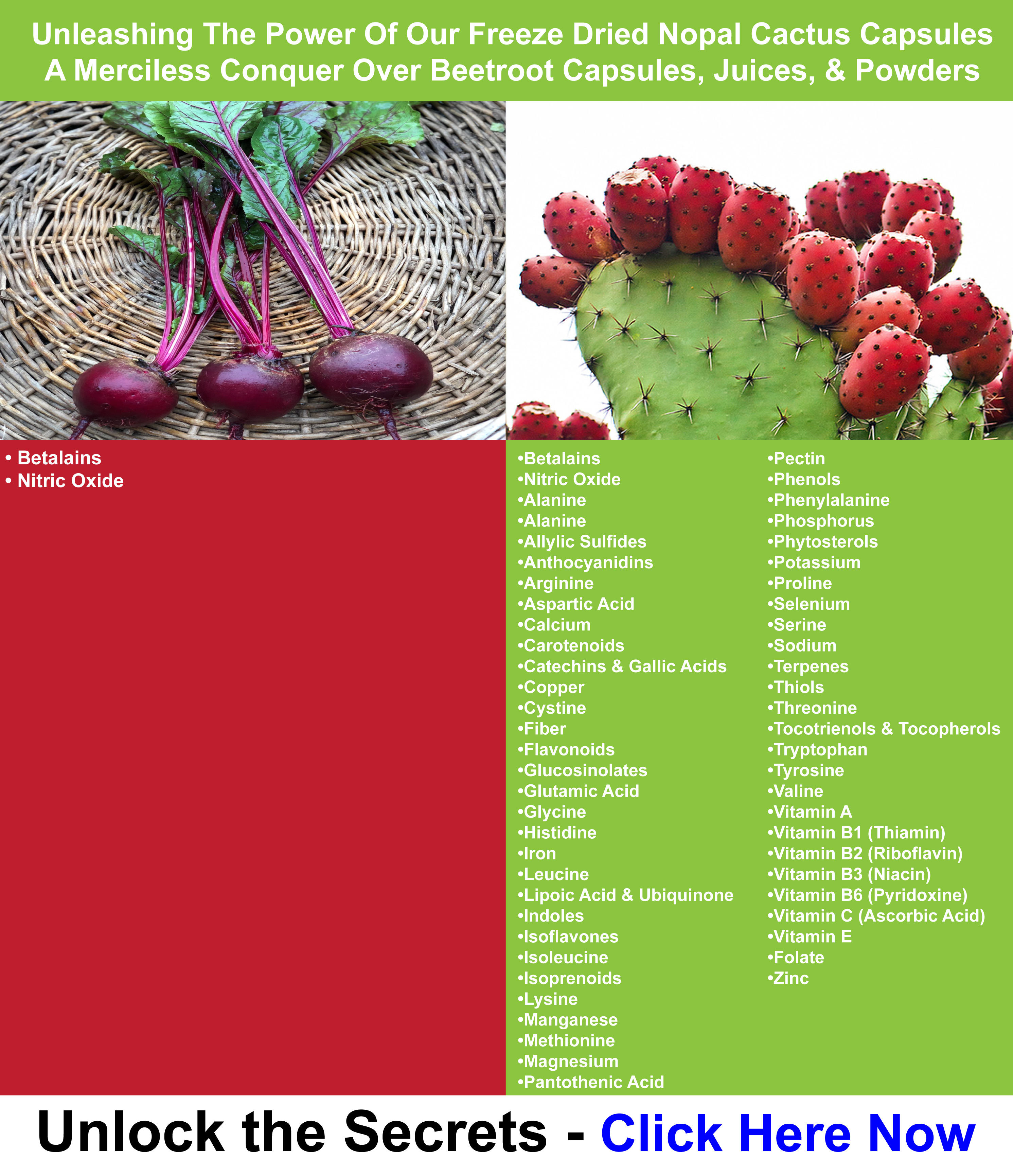 Unleashing The Power Of Our Freeze Dried Nopal Cactus Capsules - A Mericiless Conquer Over Beetroot Capsules, Juices, & Powders Unleashing The Power Of Our Freeze Dried Nopal Cactus Capsules - A Mericiless Conquer Over Beetroot Capsules, Juices, & Powders