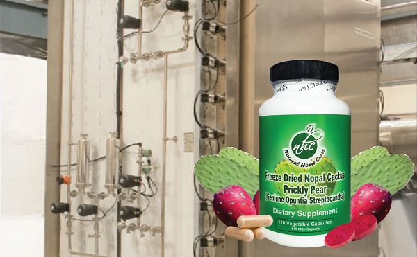 Nopal Powder Capsules (Prickly Pear) Is Freeze Dried Nopal Powder Capsules (Prickly Pear) Is Freeze Dried
